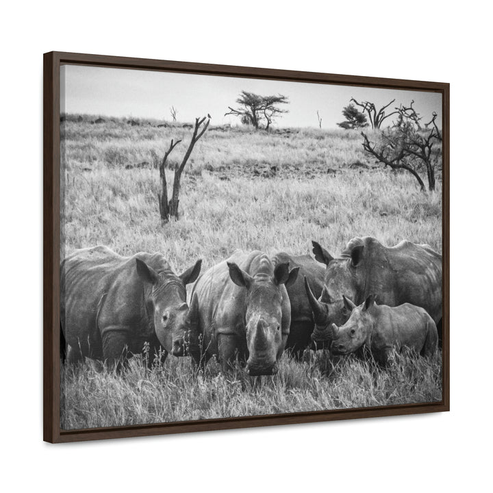 Rhino Family in Black and White - Canvas with Frame