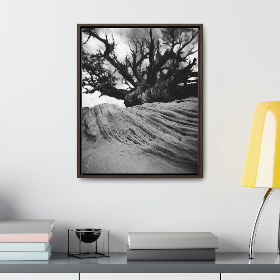 Desert Reach in Black and White - Canvas with Frame