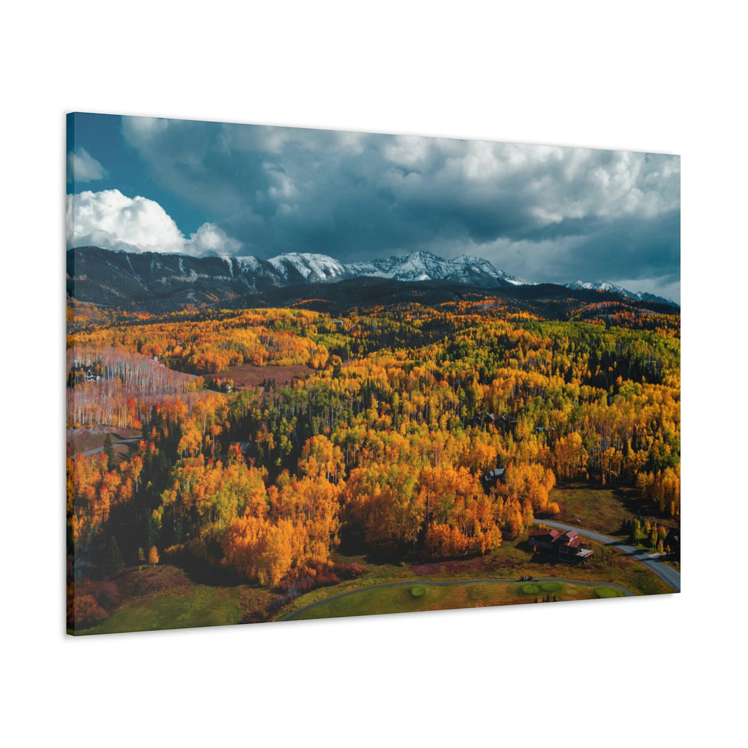 Golds of Autumn - Canvas