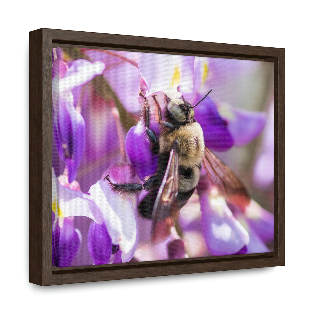 Hungry Visitor - Canvas with Frame