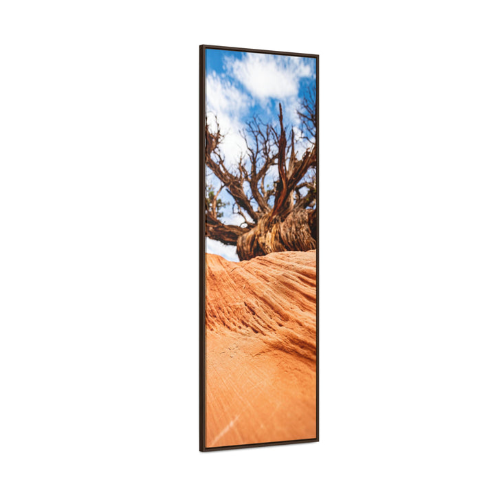 Desert Reach - Canvas with Frame