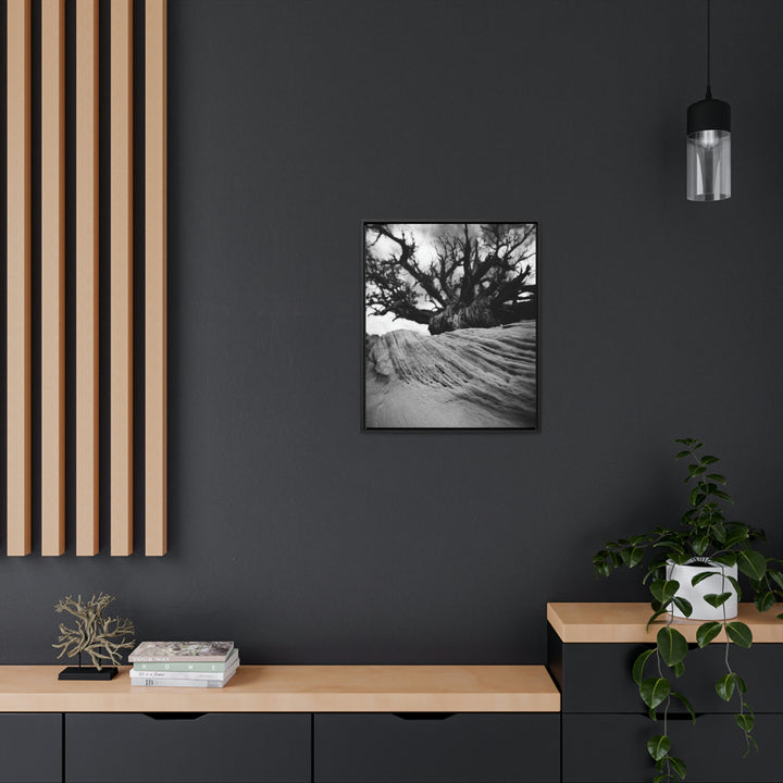 Desert Reach in Black and White - Canvas with Frame