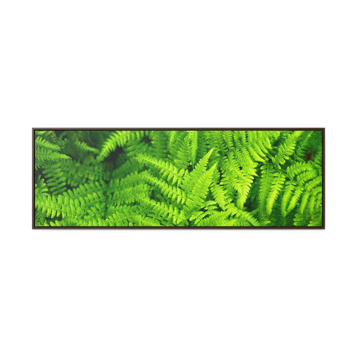 Ferns, Ferns, Ferns - Canvas with Frame