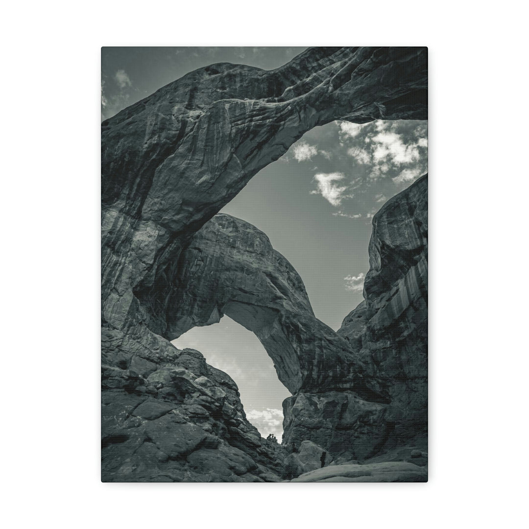 Natural Frames Part 4 in Black and White - Canvas