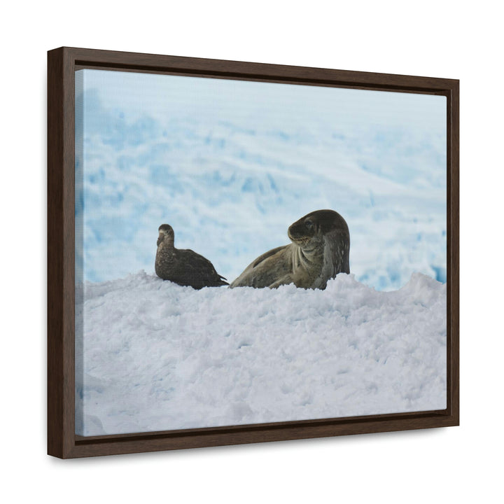 A Resting Pair - Canvas with Frame