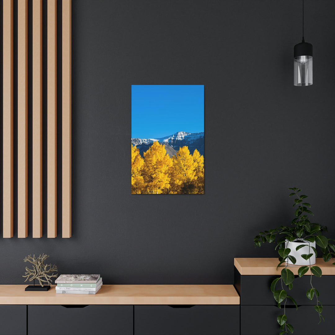 Golden Glow - Canvas