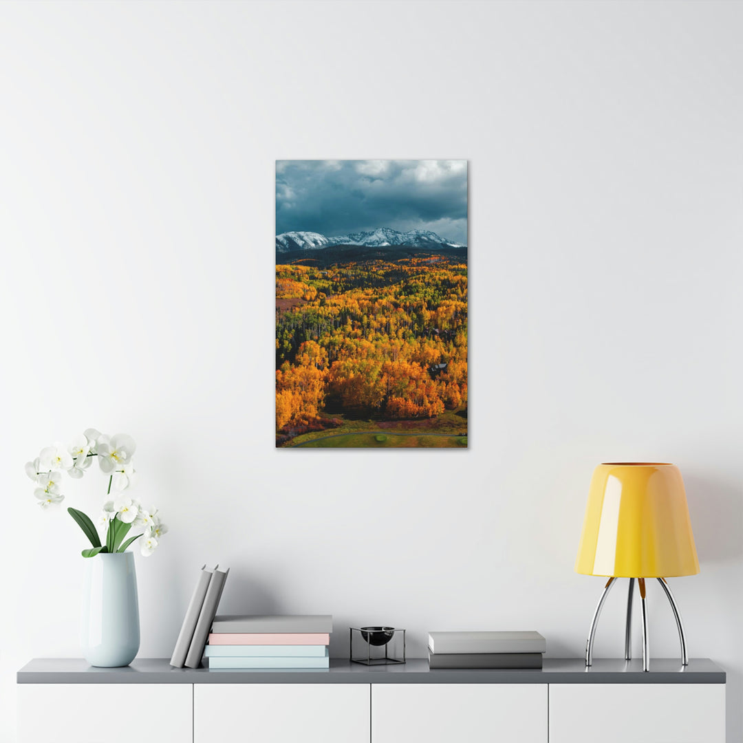 Golds of Autumn - Canvas