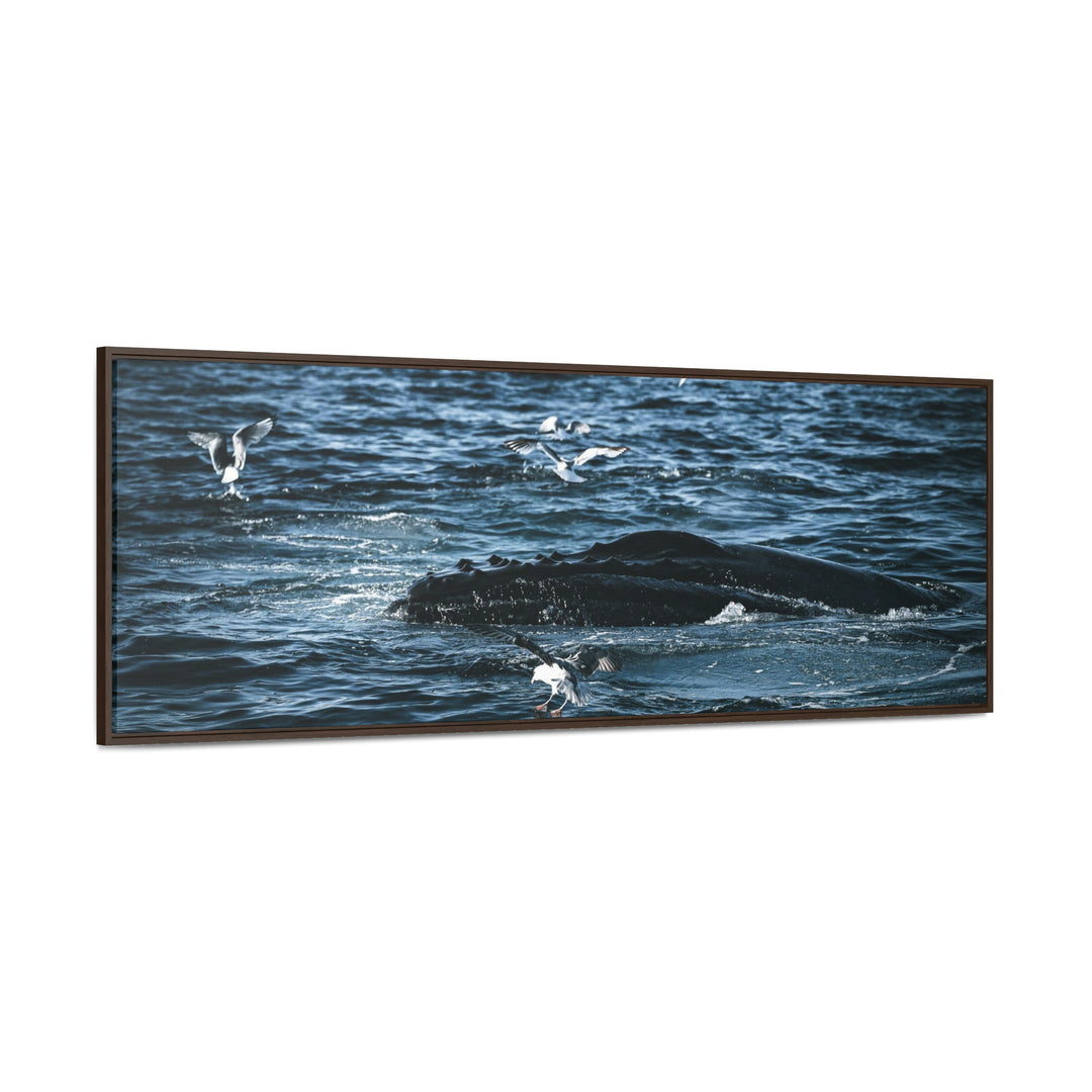 Humpback Hello - Canvas with Frame