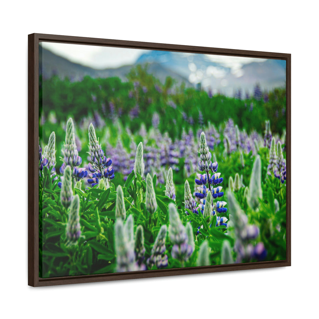 Glowing Lupin with Mountains - Canvas with Frame