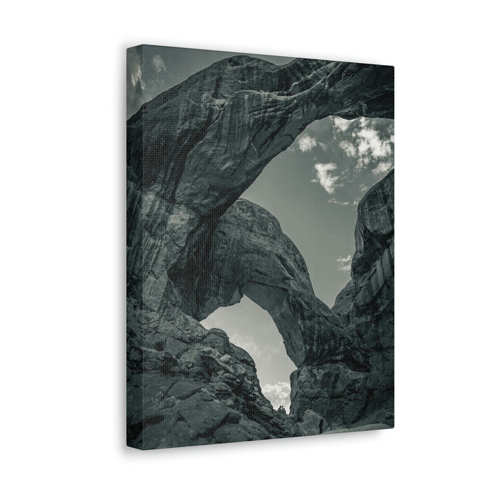 Natural Frames Part 4 in Black and White - Canvas