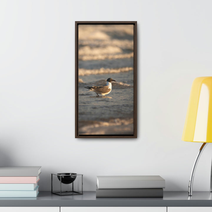 Laughing Gull in the Surf - Canvas with Frame