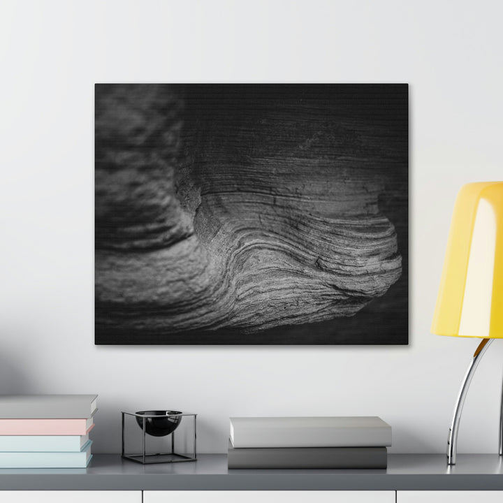 Sedimentary Rock Curves in Black and White - Canvas