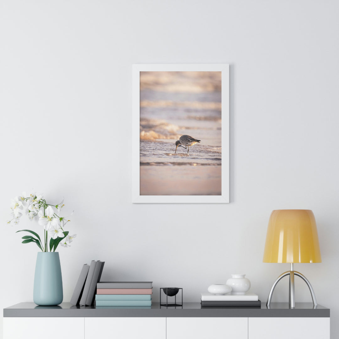 Willet Itch - Framed Print