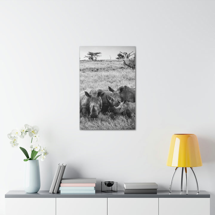 Rhino Family in Black and White - Canvas