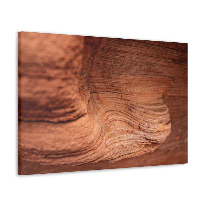 Sedimentary Rock Curves - Canvas