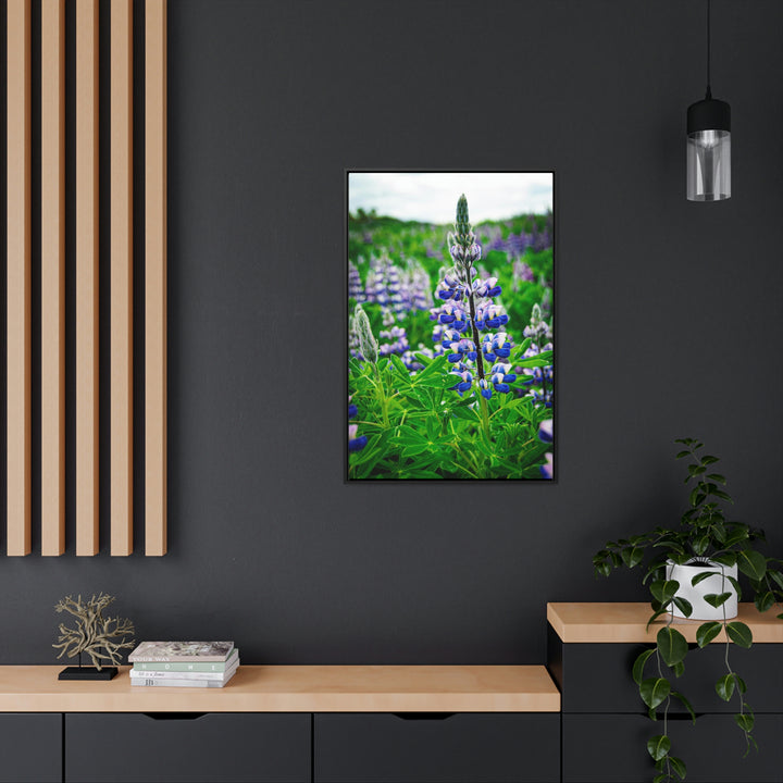 Glowing Lupin - Canvas with Frame