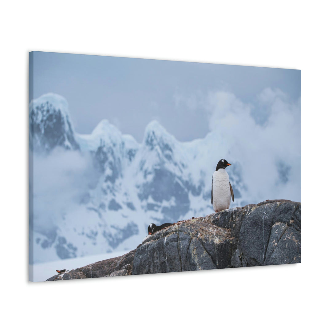 Poised Penguin - Canvas