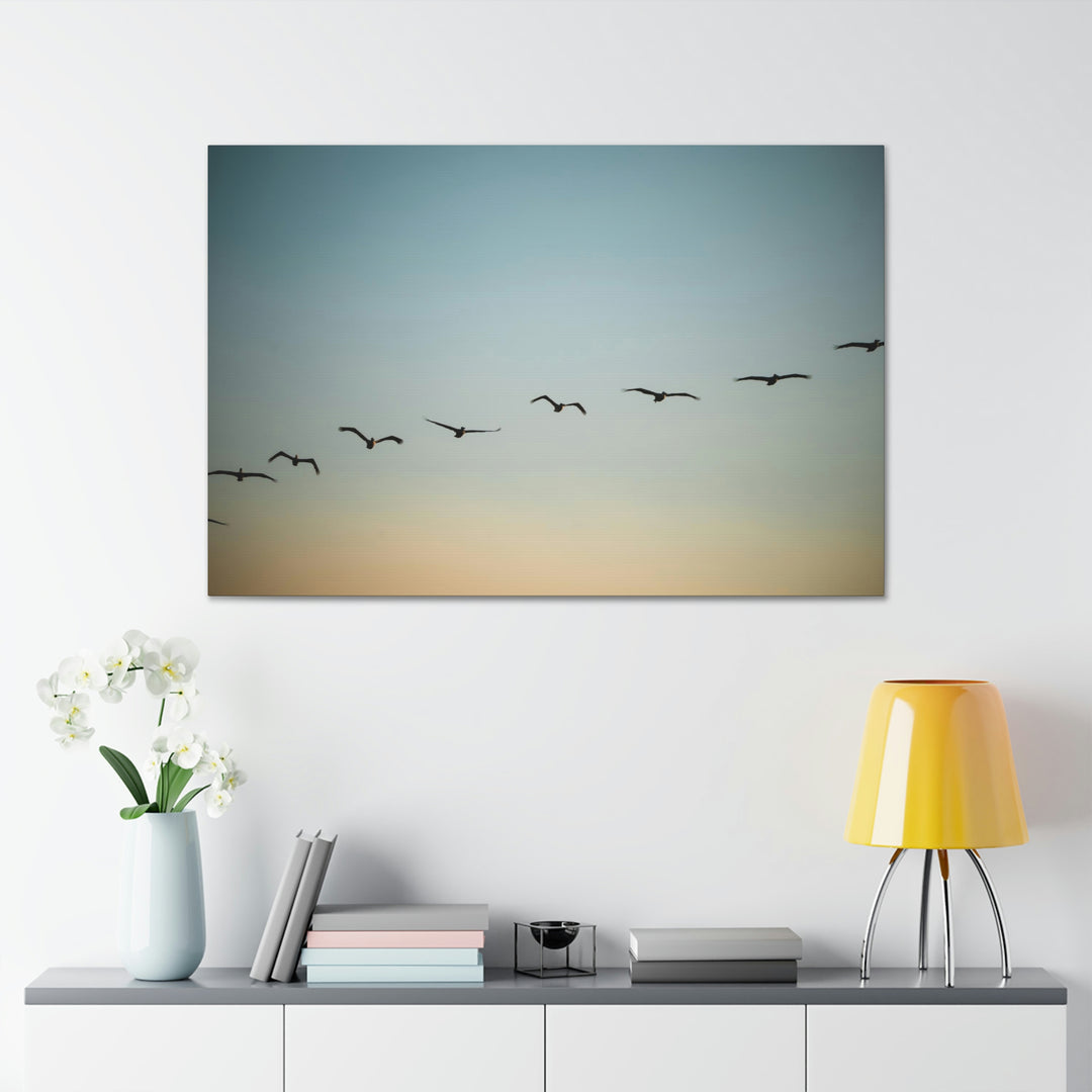 Brown Pelicans in Flight - Canvas