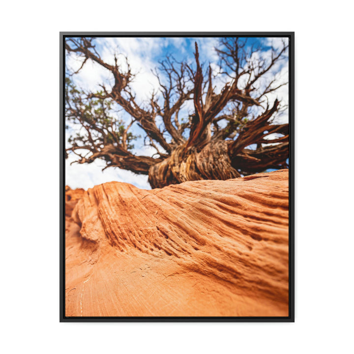 Desert Reach - Canvas with Frame