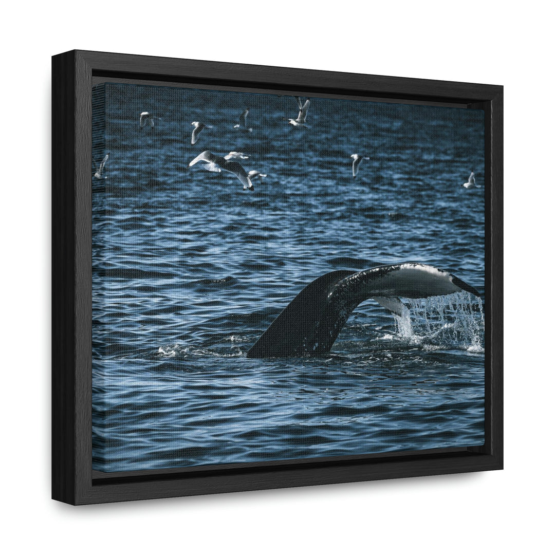 Feeding Tail - Canvas with Frame