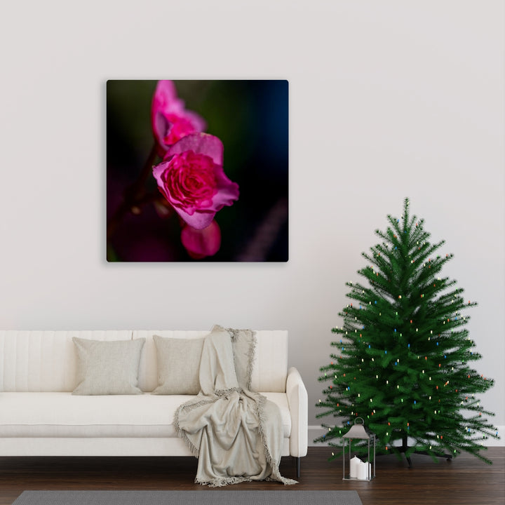 Hybrid Tea Lily - Canvas