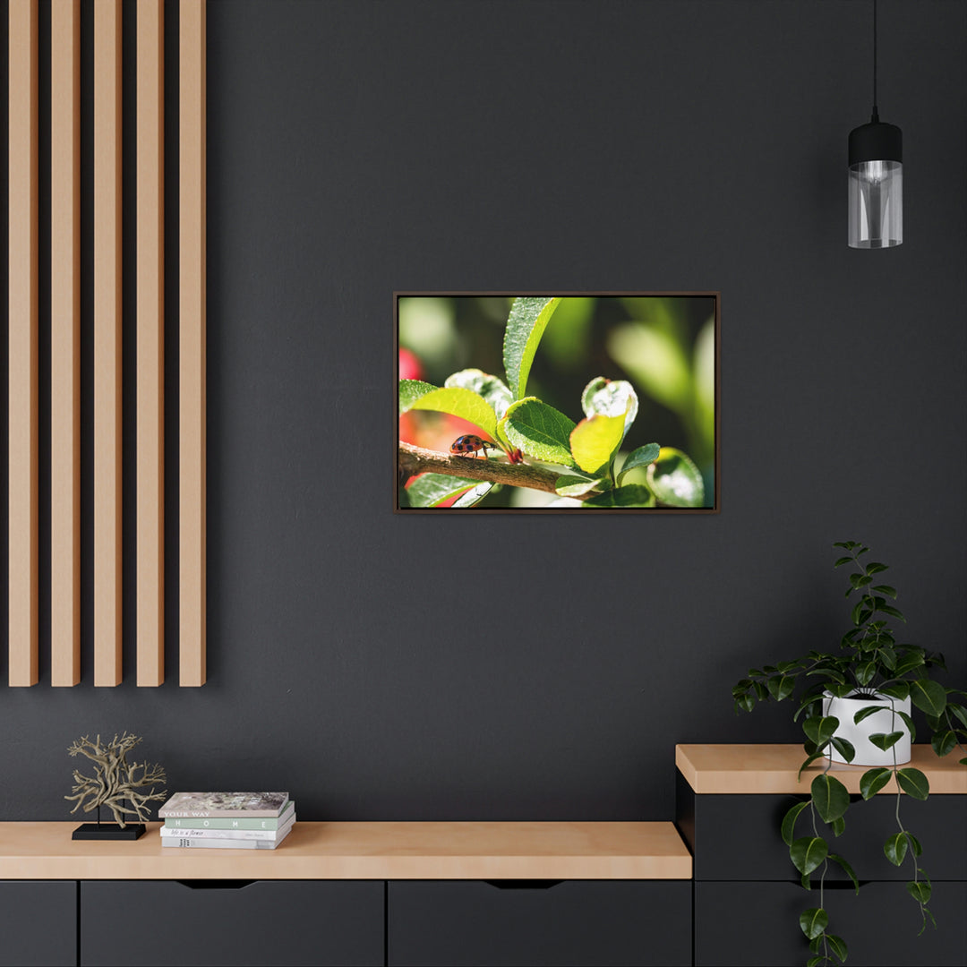 Spotted Investigation - Canvas with Frame