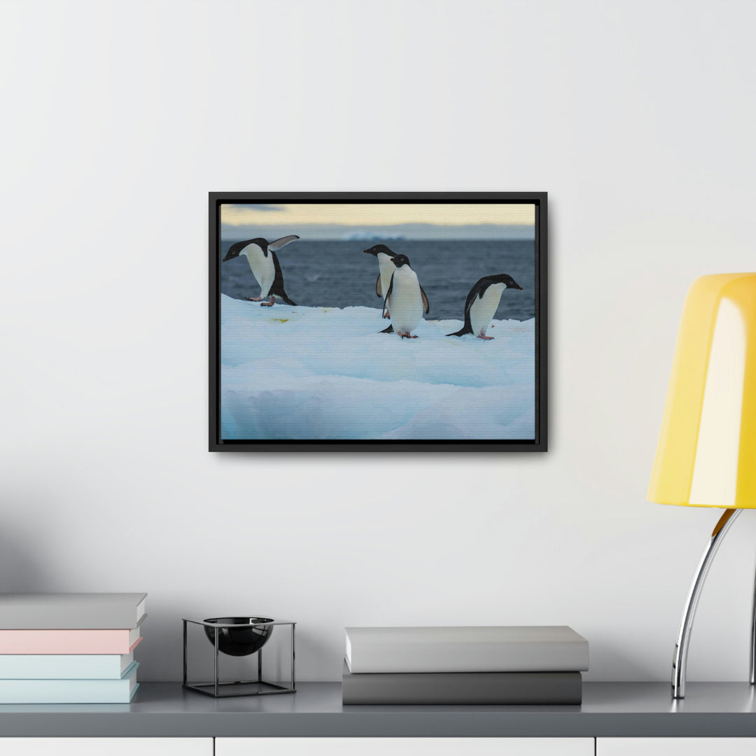 Penguin Dance - Canvas with Frame