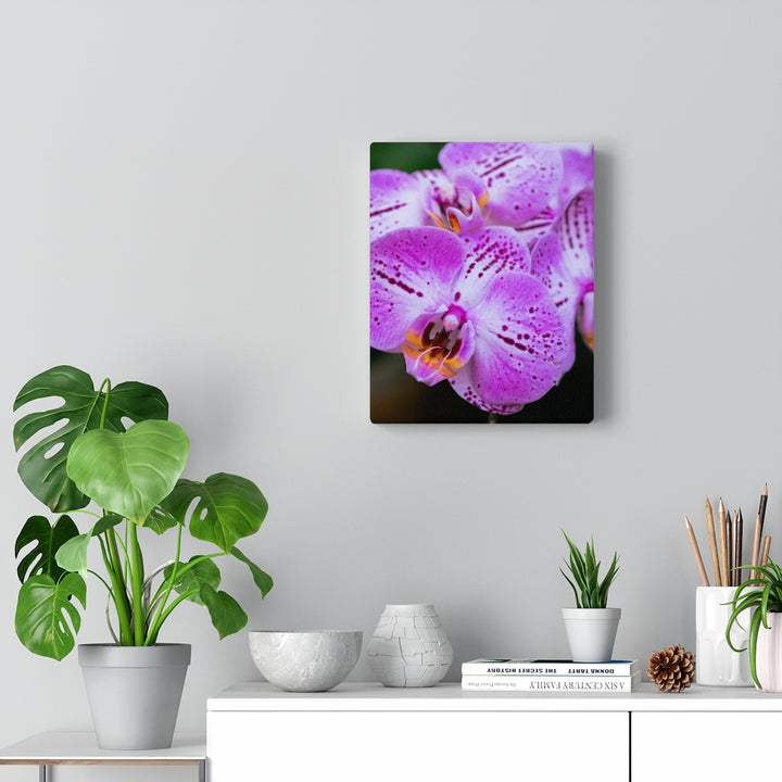 Orchid in Pink - Canvas