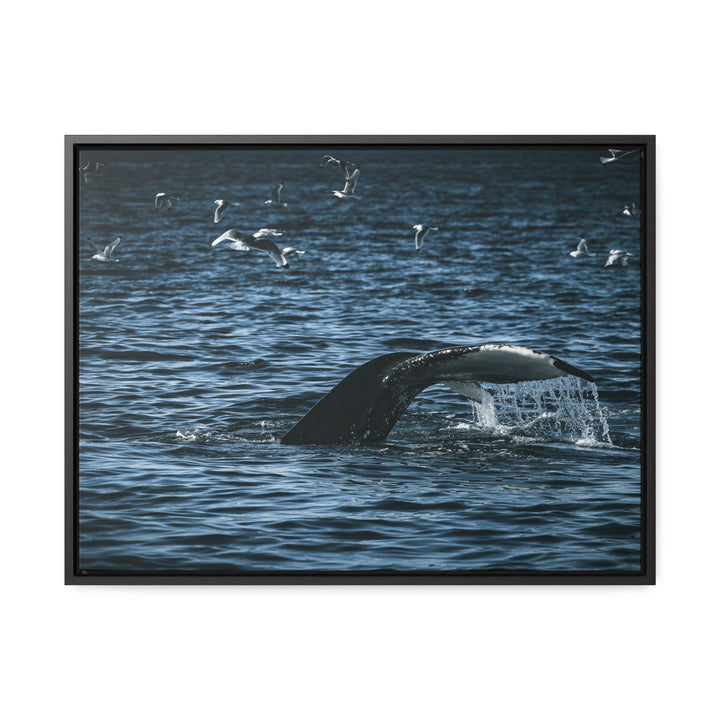 Feeding Tail - Canvas with Frame