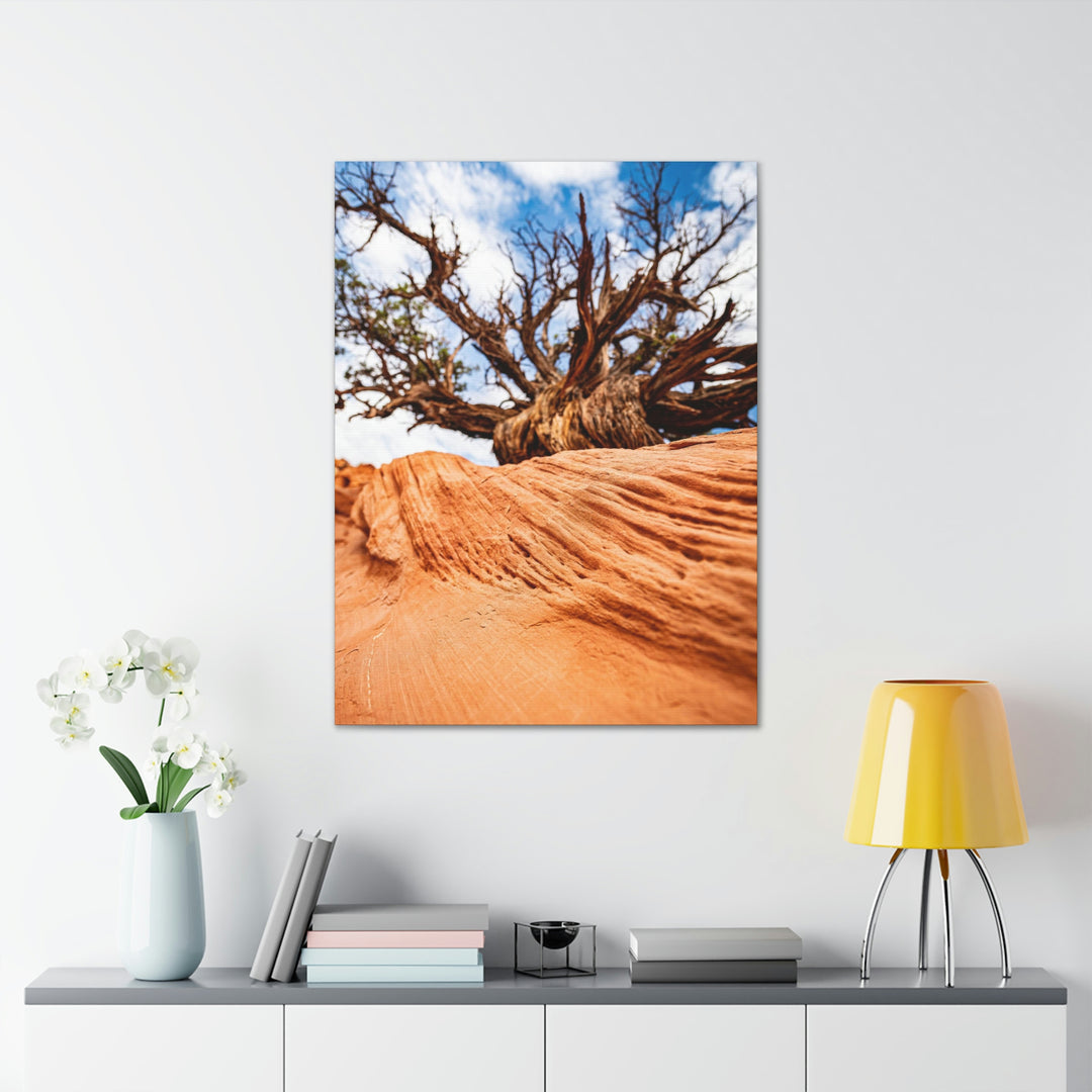 Desert Reach - Canvas