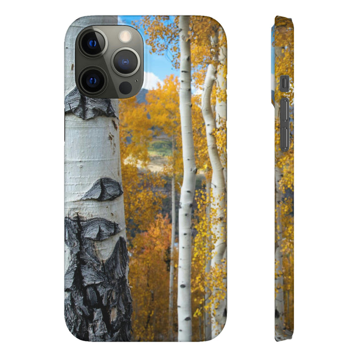 Aspens Changing - Phone Case