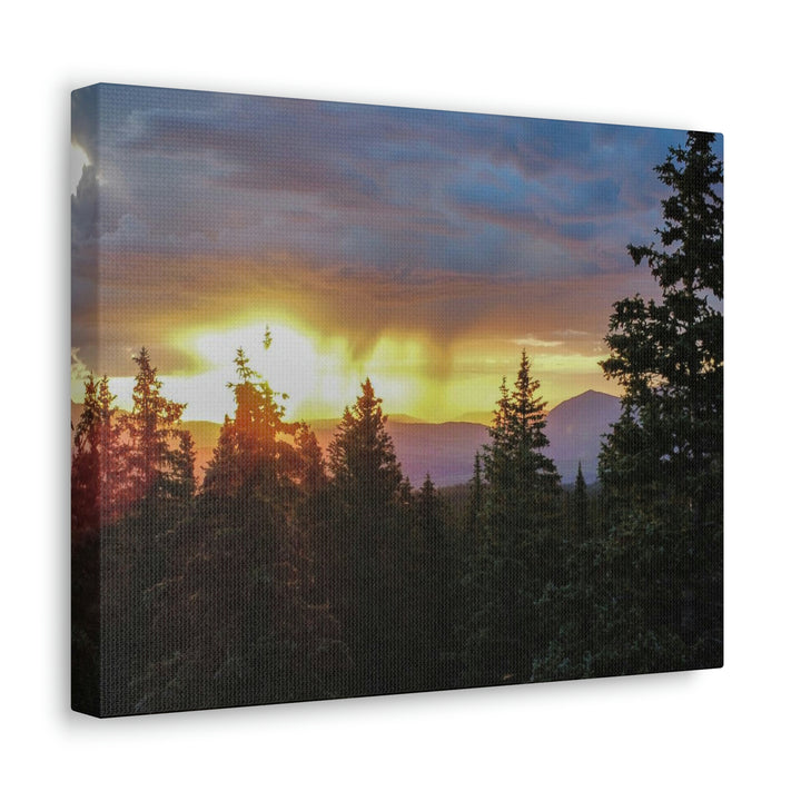 Rainy Sunset Through the Trees - Canvas