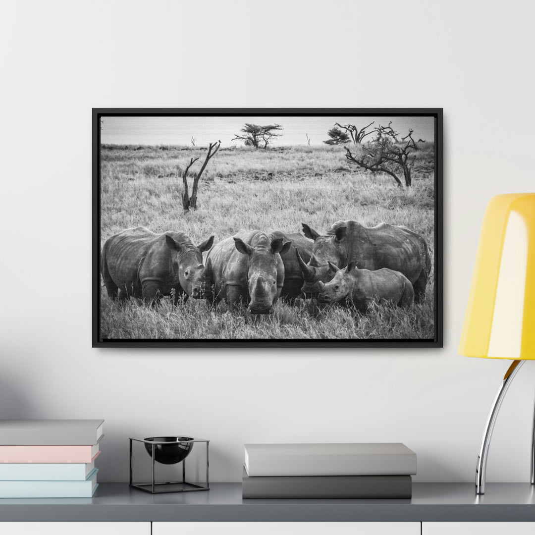 Rhino Family in Black and White - Canvas with Frame