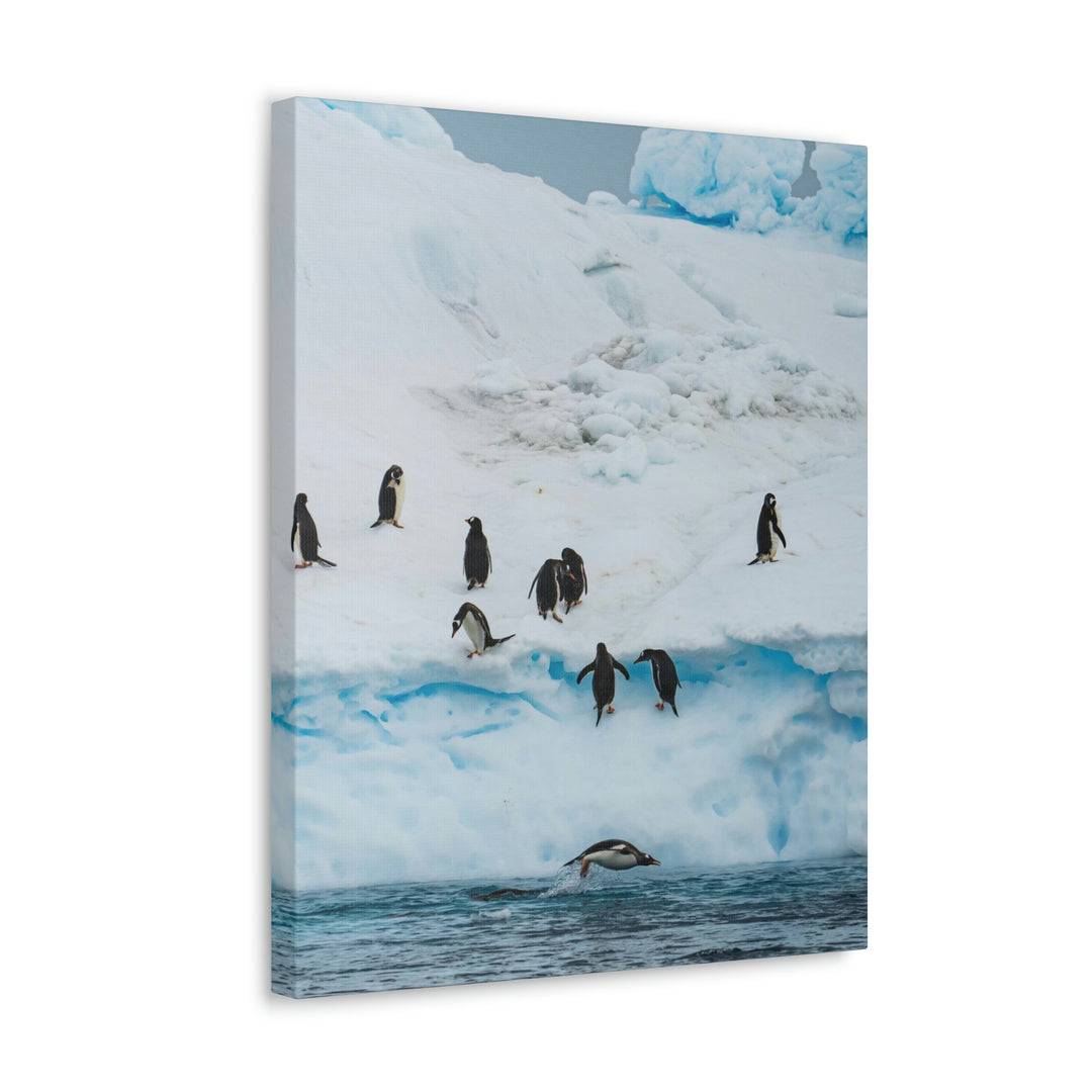 Porpoising Penguin - Canvas