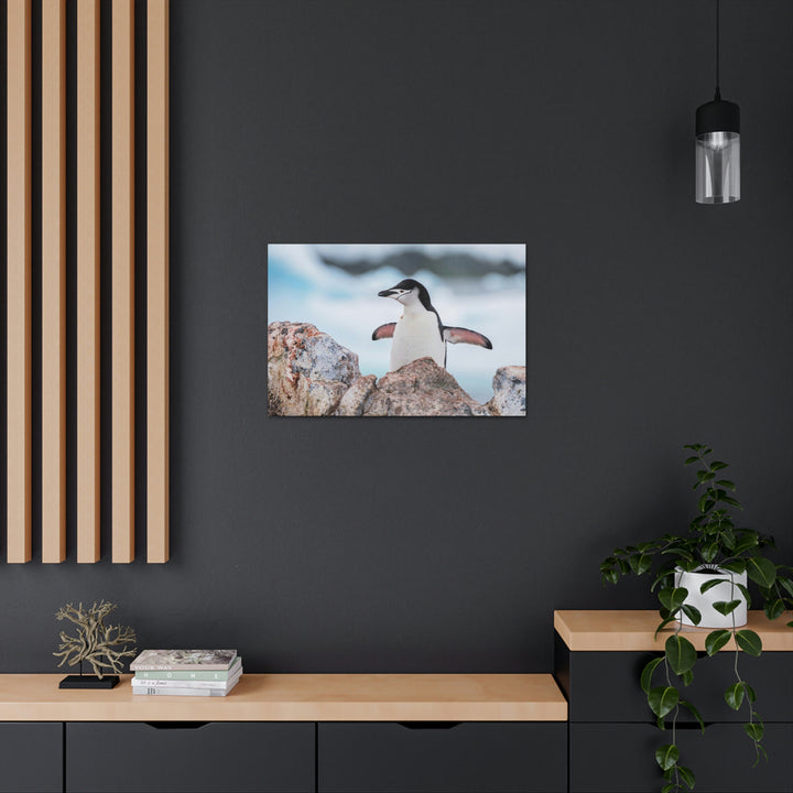 Stretched Penguin - Canvas