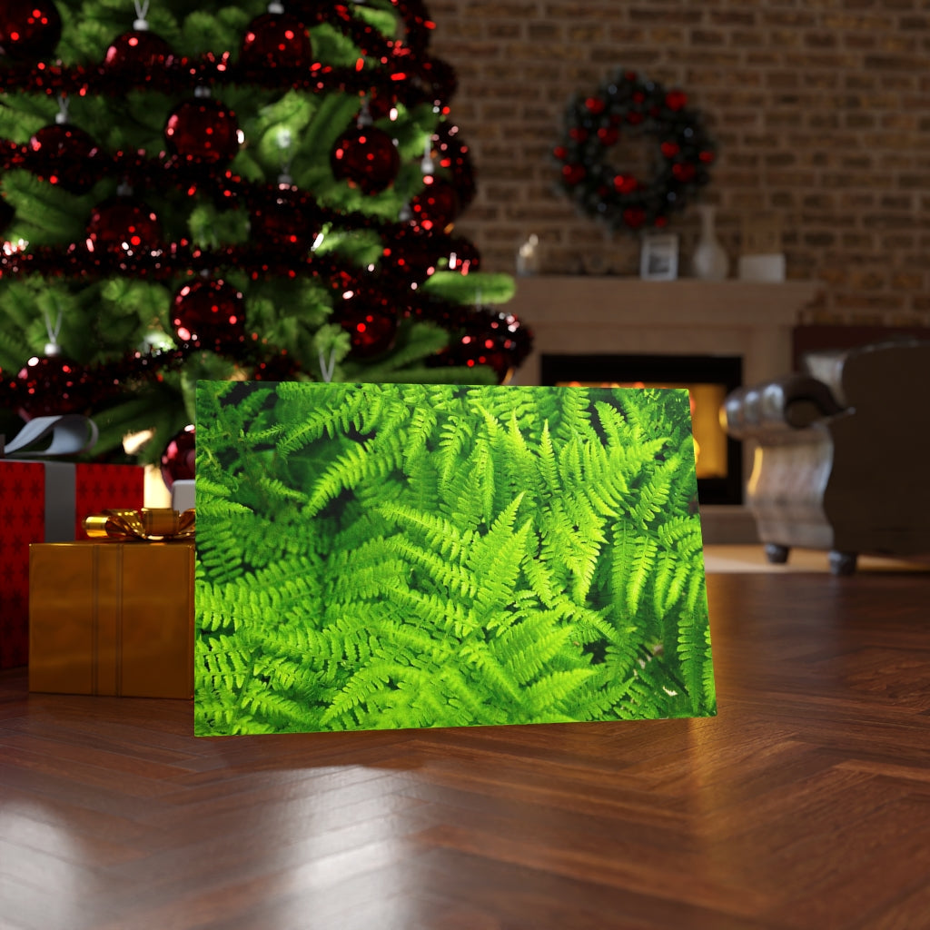 Ferns, Ferns, Ferns - Canvas