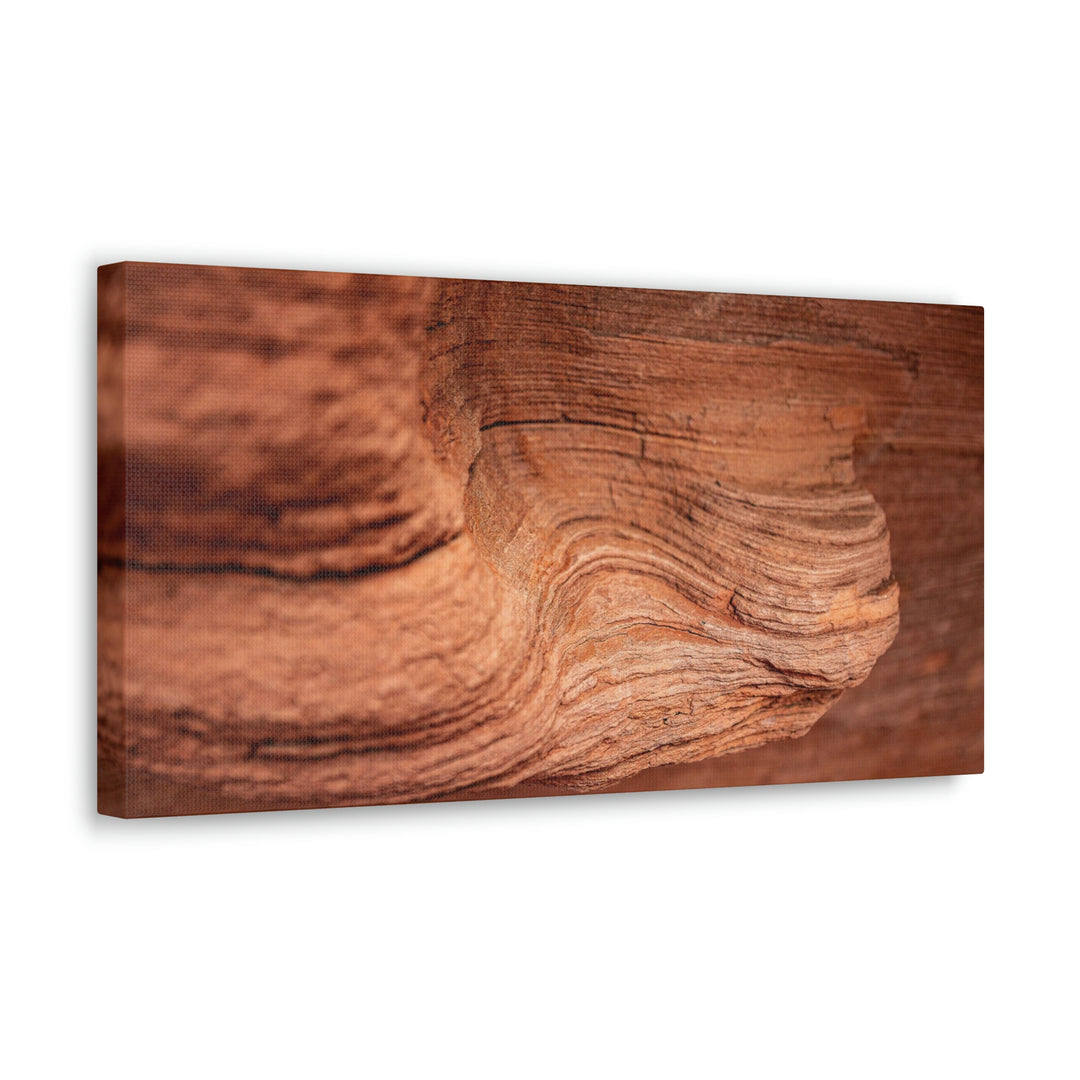 Sedimentary Rock Curves - Canvas