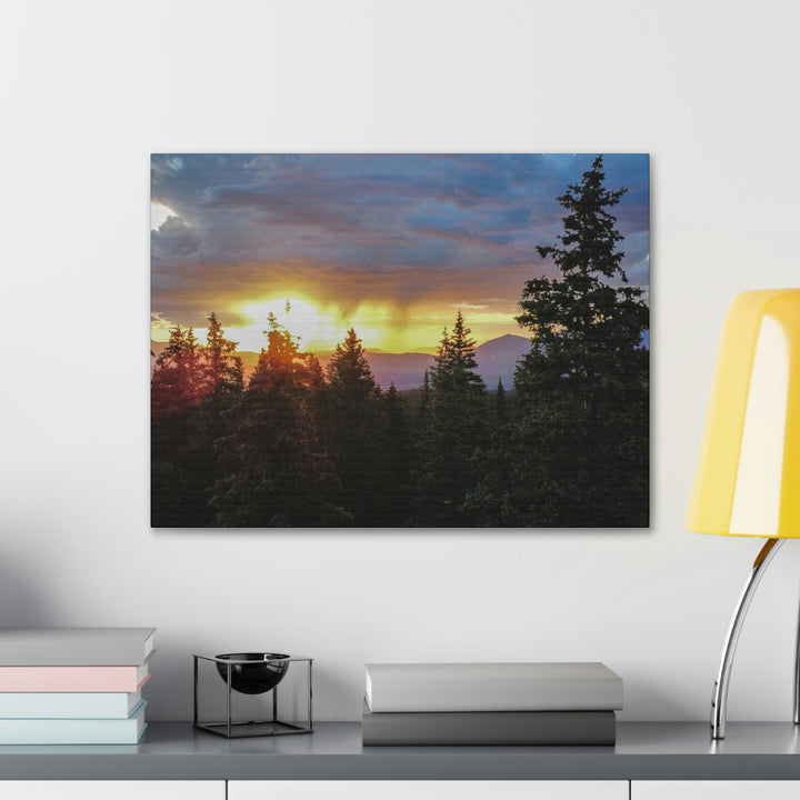 Rainy Sunset Through the Trees - Canvas