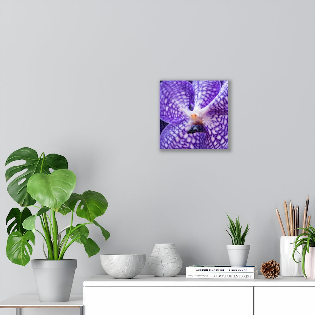 Orchid Detail - Canvas