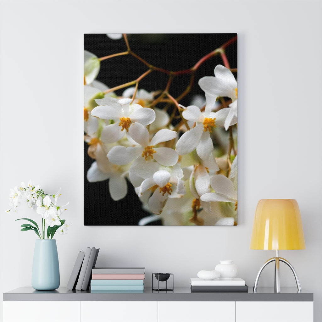 Floral Network - Canvas