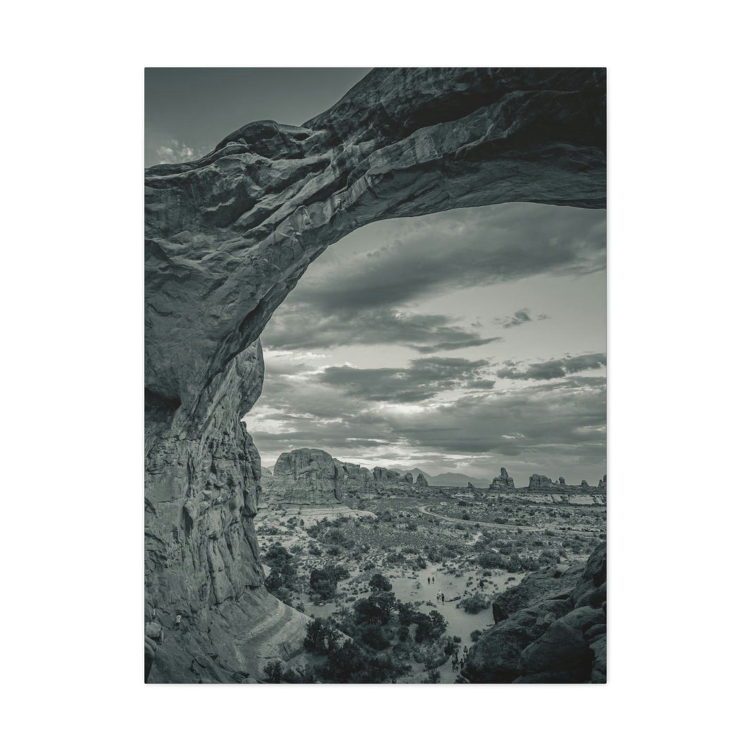 Natural Frames Part 2 in Black and White - Canvas