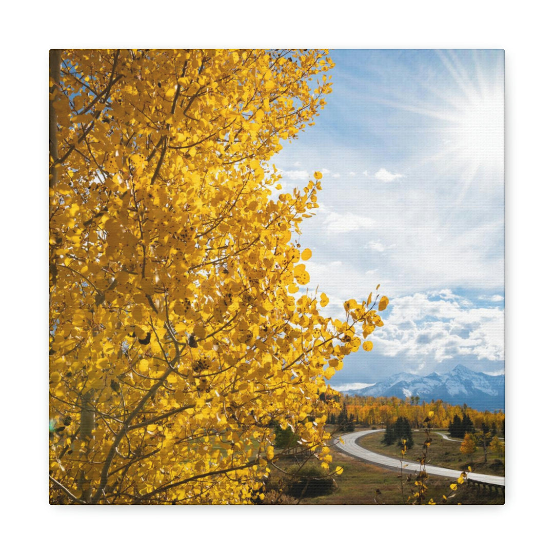 Golden Sunshine - Canvas