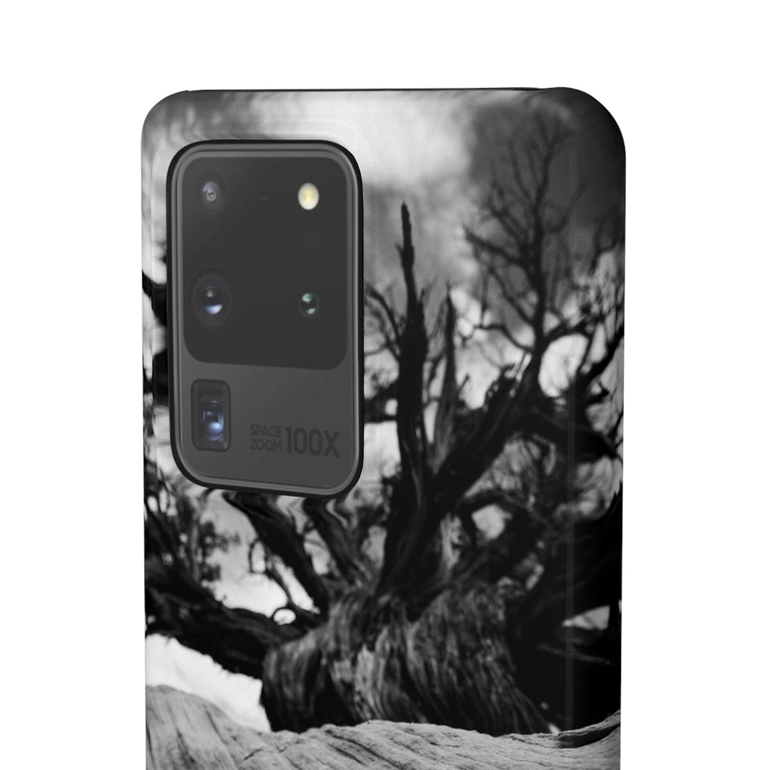 Desert Reach in Black and White - Phone Case