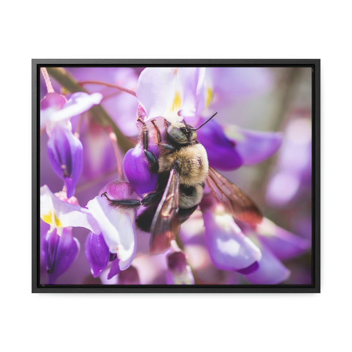 Hungry Visitor - Canvas with Frame