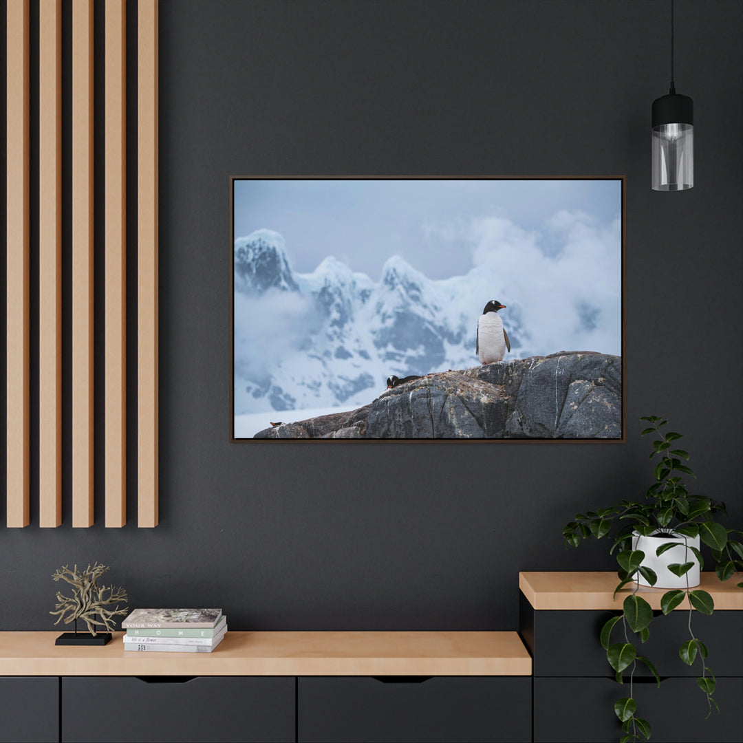 Poised Penguin - Canvas with Frame