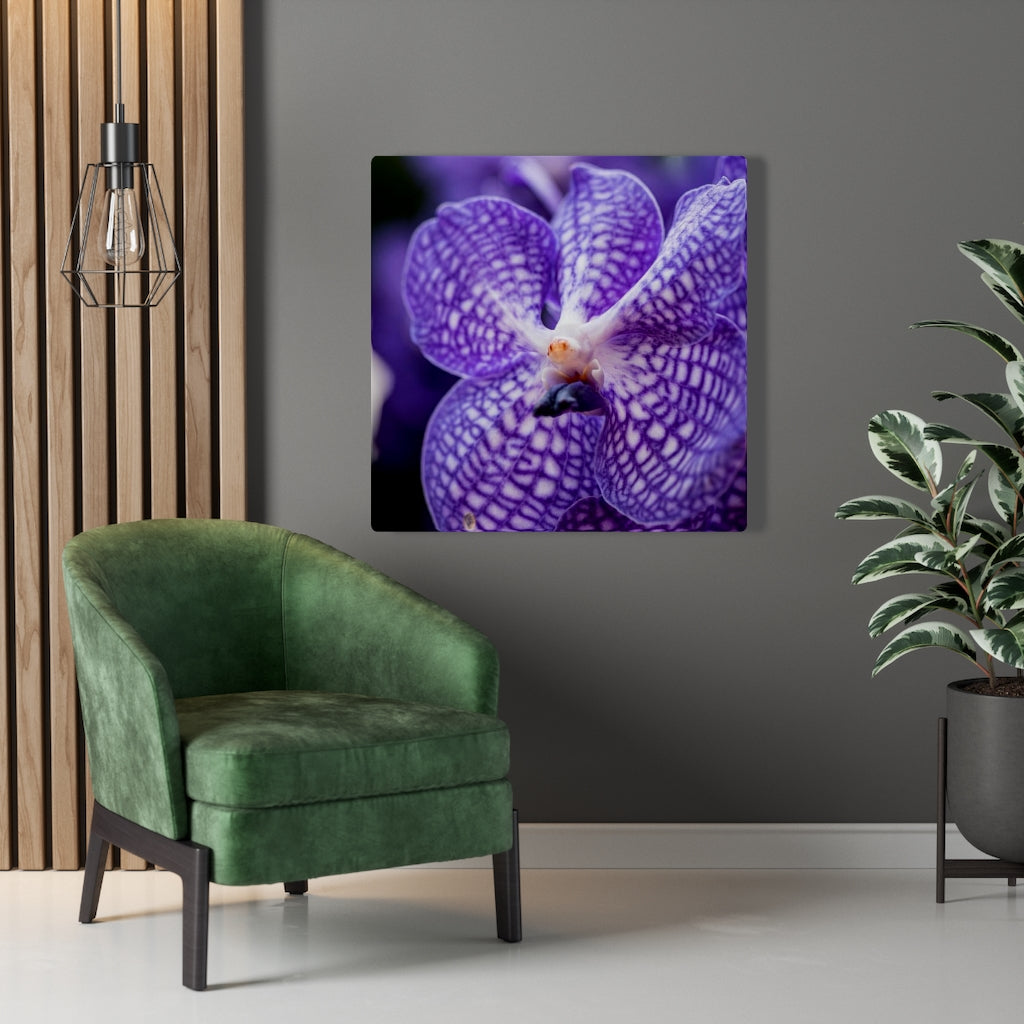 Orchid Detail - Canvas