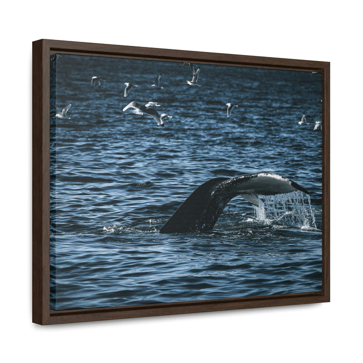 Feeding Tail - Canvas with Frame