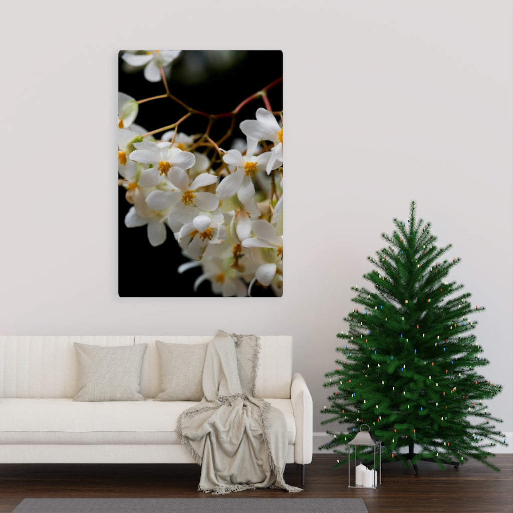 Floral Network - Canvas