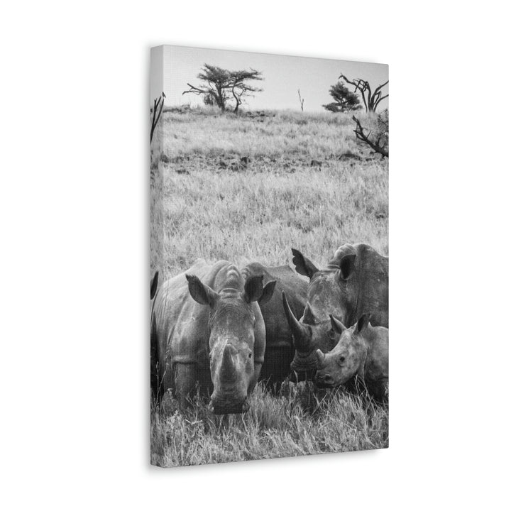 Rhino Family in Black and White - Canvas