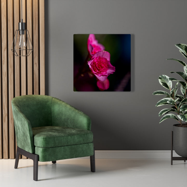 Hybrid Tea Lily - Canvas